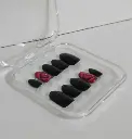 Black Rose